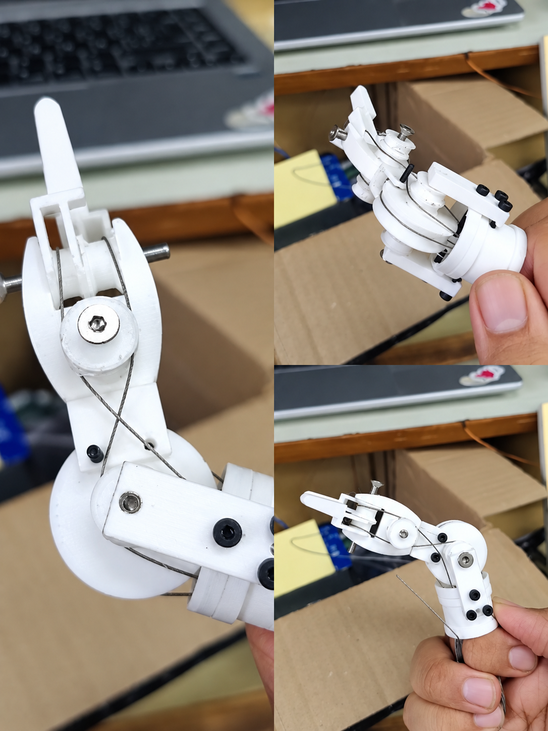 The 3D-printed tendon-actuated surgical end-effector